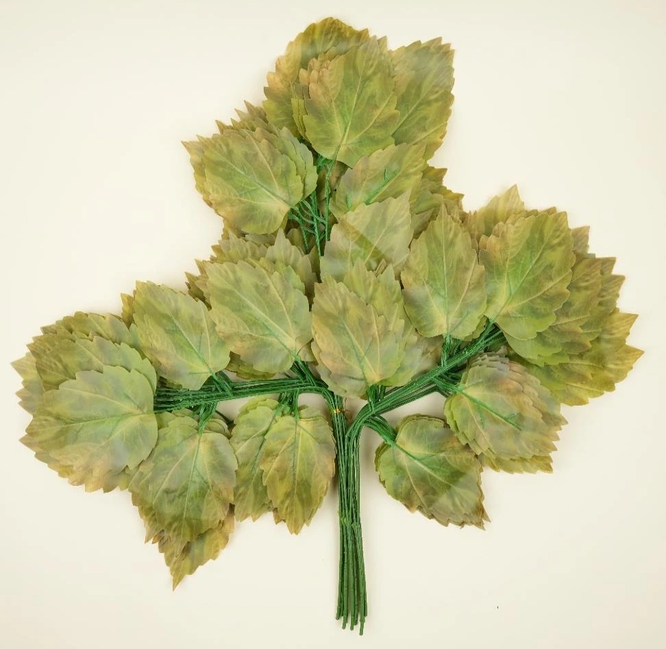 Autumn Maple Leaves 3D 5x3